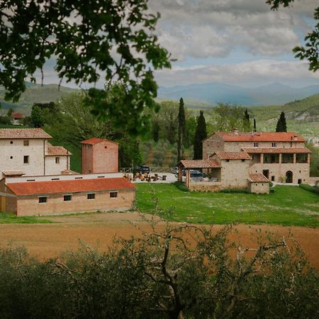 Agriturismo Podere Tovari 앙기아리 외부 사진