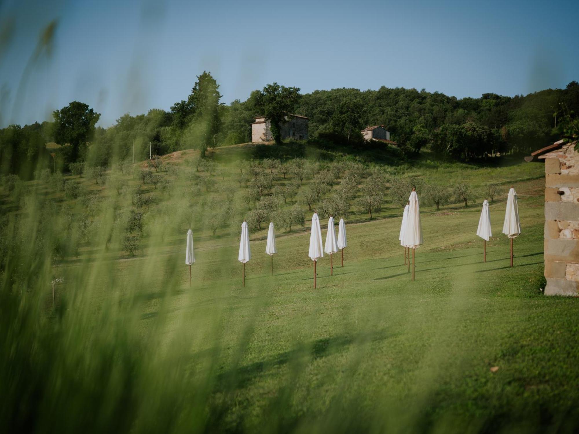 Agriturismo Podere Tovari 앙기아리 외부 사진